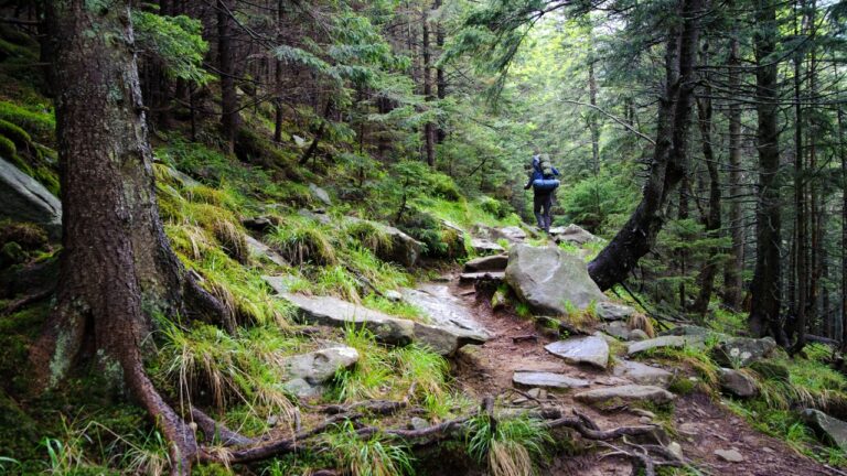 Trails that surprise hikers with incredible scenery