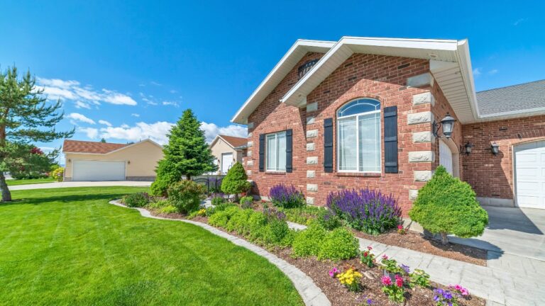 Protect Your Yard Like a Pro with This Purple Perennial