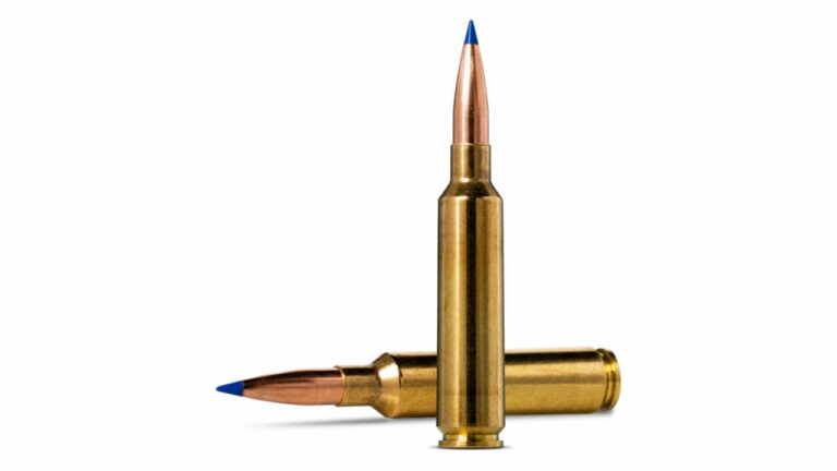 Calibers precision shooters swear by for 1,000-yard hits - The Avid ...