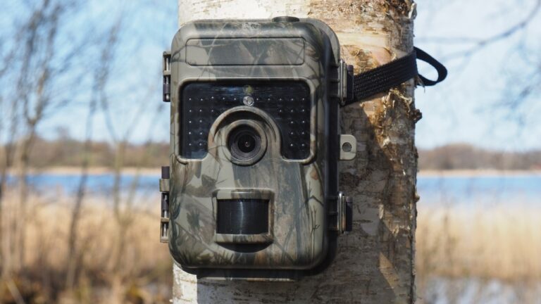 Why more hunters are treating trail cameras like disposable gear now