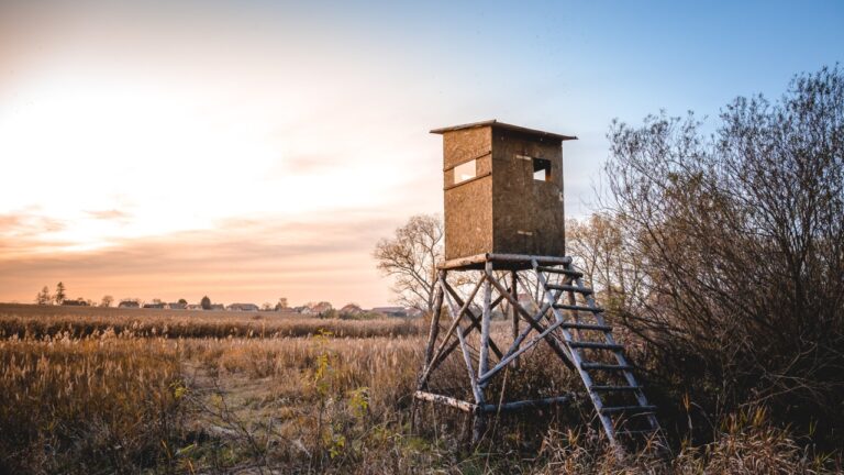 Why your deer stand setup is louder than you think
