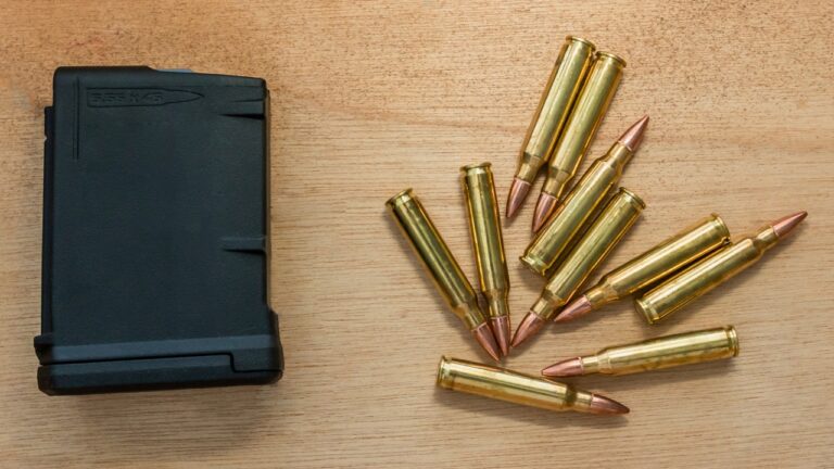 If the DOJ wins in D.C., which state rifle bans are most exposed next?