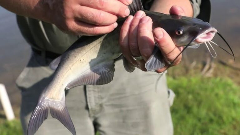 Fisherman says he and a buddy were loading up after catfishing at 2 a.m. — and then a shirtless man stepped out of the dark asking strange questions and closing the distance
