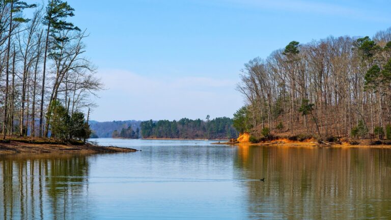 10 Best States for Trophy Bass Fishing in 2025