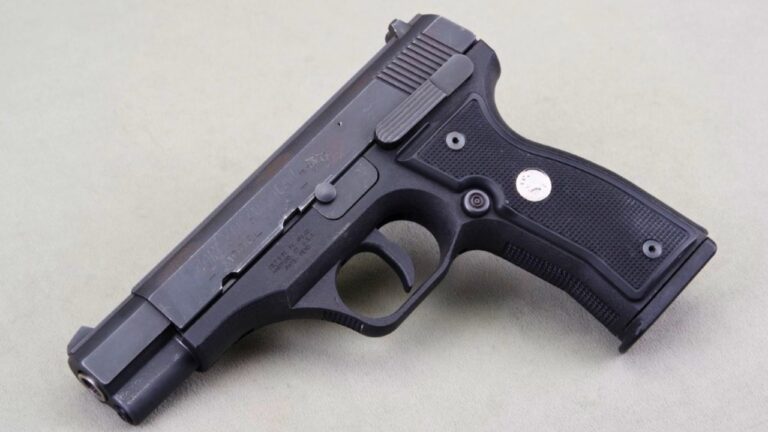 Guns that never earned their following