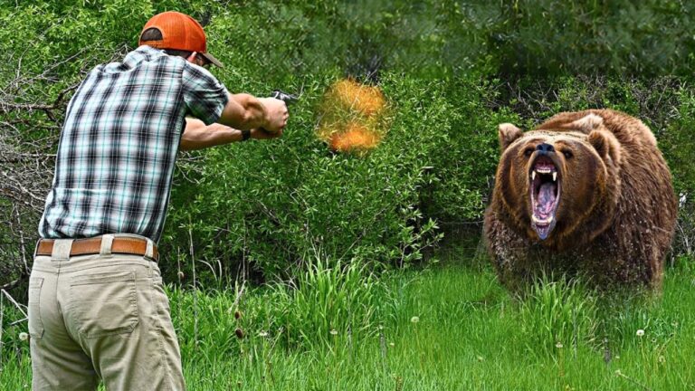 The Worst Calibers for Bear Defense—And What to Carry Instead