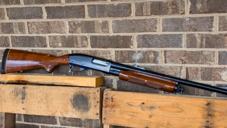 Guns buyers thought were too plain to matter until the market punished them