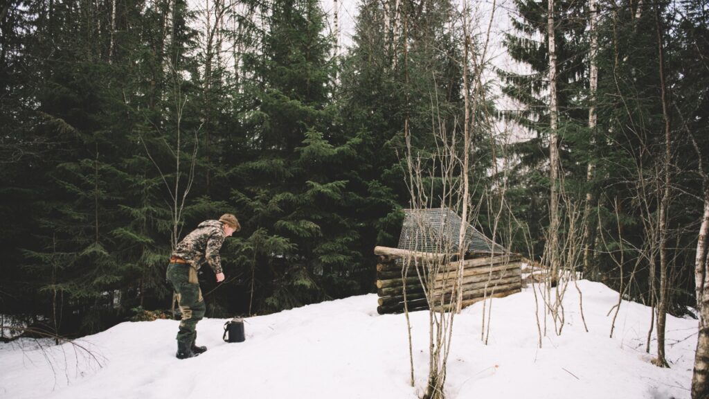 Hog Trapping Secrets Every Hunter Should Know - The Avid Outdoorsman
