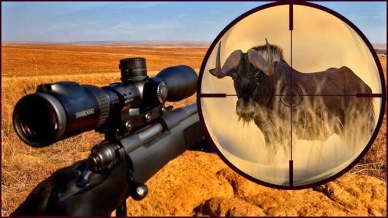 Why These Calibers Are a Mistake for African Plains Game