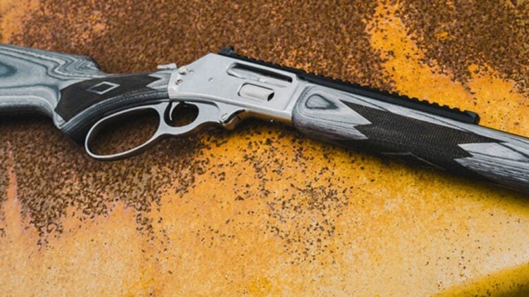 The Comeback of Marlin: How the Brand is Doing Under Ruger - The Avid ...