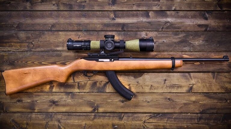 15 little-known facts about the Ruger 10/22