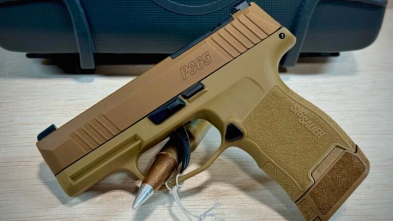 Most Common Malfunctions to Expect From the SIG Sauer P365