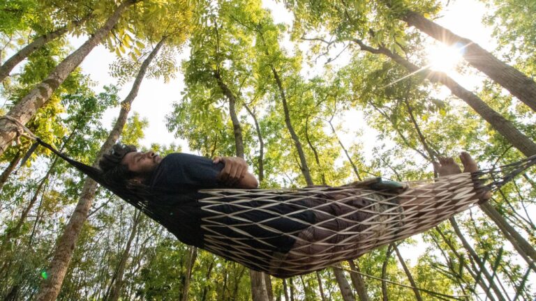 10 State Parks That Are Perfect for Hammock Camping