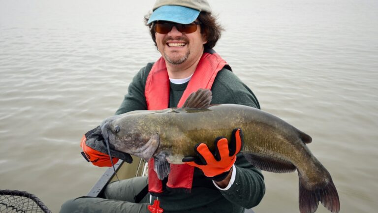 How to Catch More Catfish Using These Simple Tricks