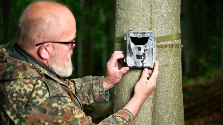 What Old-Timers Know About Deer That You Don’t