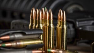 AR-10 vs. AR-15: Which rifle actually earns its keep - The Avid Outdoorsman