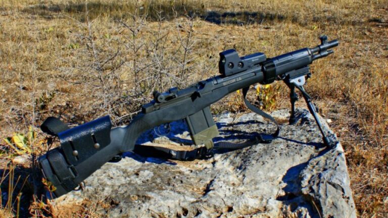 10 rifles that take too much to run in the wild