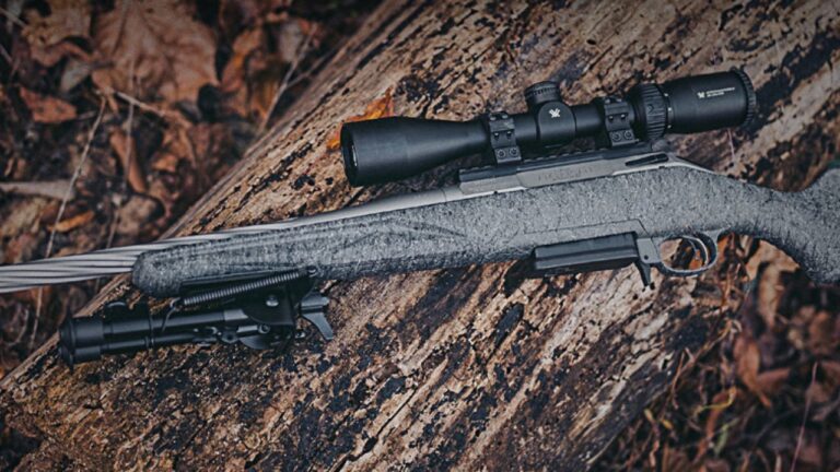 Budget rifles that still shoot straight