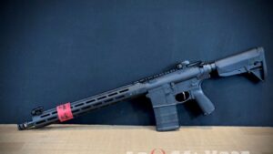 AR-10 vs. AR-15: Which rifle actually earns its keep - The Avid Outdoorsman