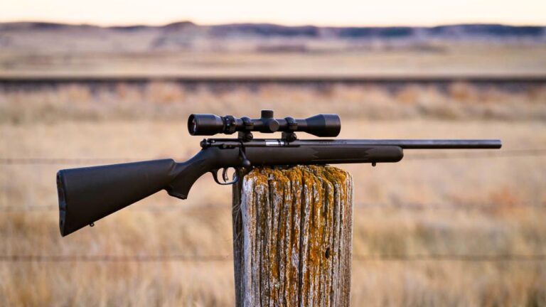 15 Guns That Made Patient Buyers Look Smarter Years Later