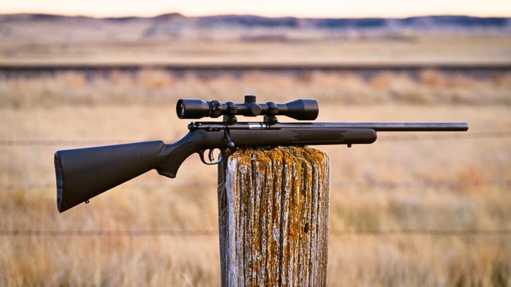 Best .22 Rifles That Stay Quiet and Hit Consistently - The Avid Outdoorsman