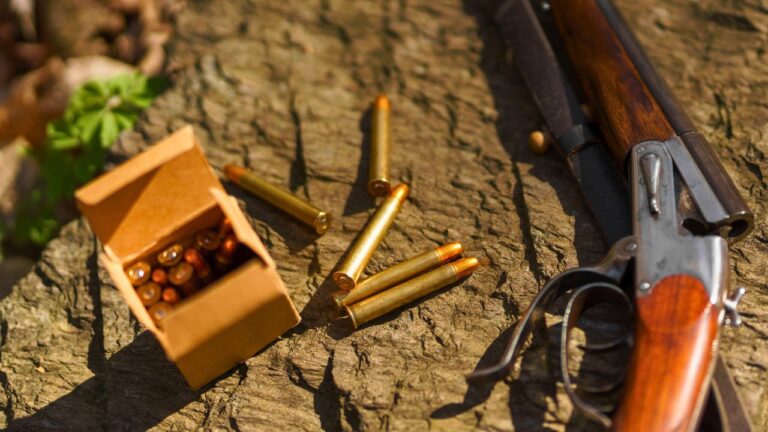 Calibers that work in brush despite what everyone says