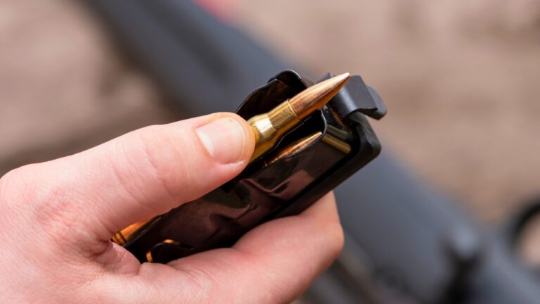 Cartridges that hit hard without punishing recoil