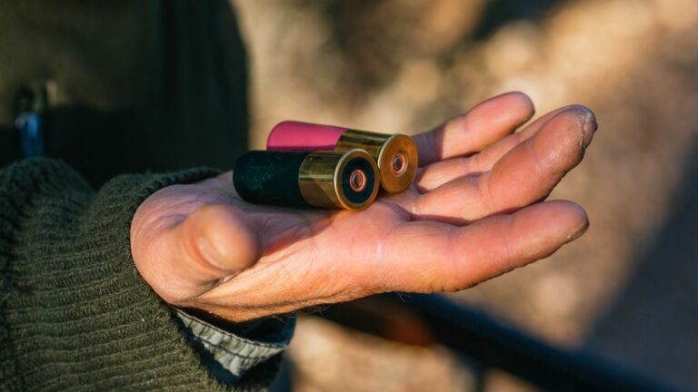 Calibers that hit light and leave animals running