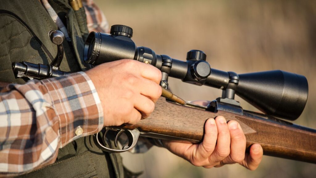 Old calibers that still anchor elk when shot placement is 0ff The