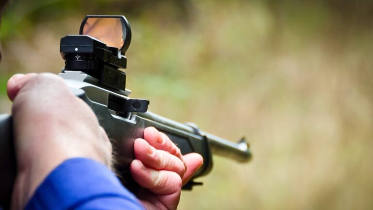 Guns that get ruined by the wrong optic choice