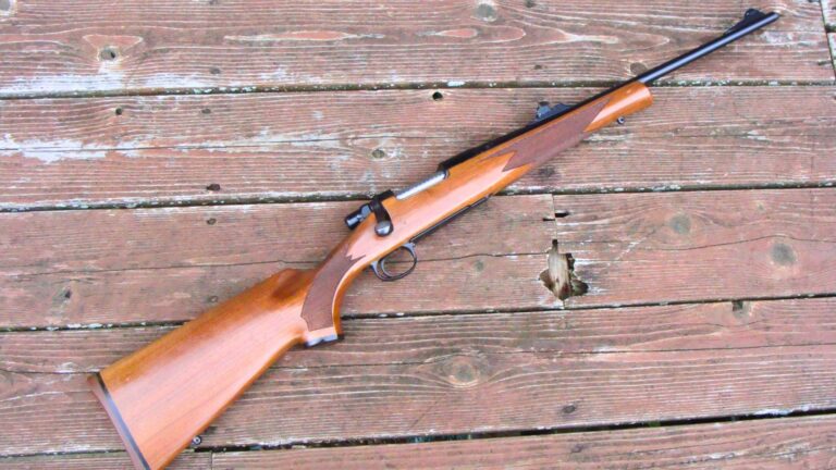 Rifles that looked like safe choices and turned into hard-to-replace favorites