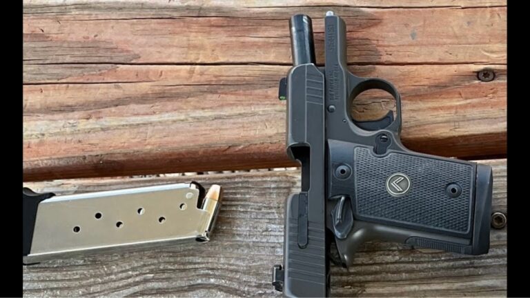 14 handguns that changed how people think about carry guns