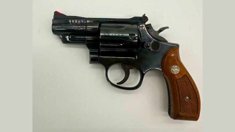 15 little-known facts about the Smith & Wesson Model 19 - The Avid ...