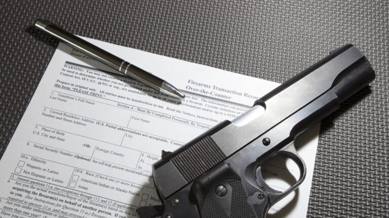 November Gun Background Checks Fell — What the Data Shows