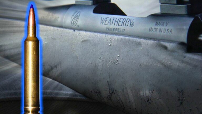 Calibers that sound smart in theory and costly in practice