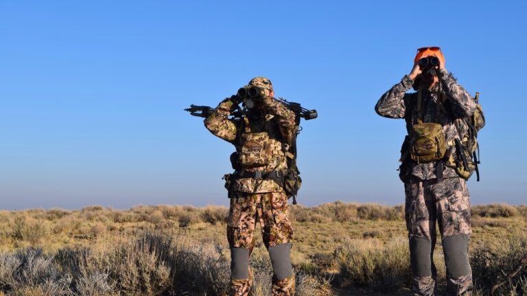 States where hunting pressure is out of control now