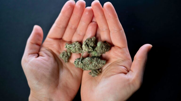 Cannabis + guns is heading to SCOTUS — the timeline and what’s really being argued