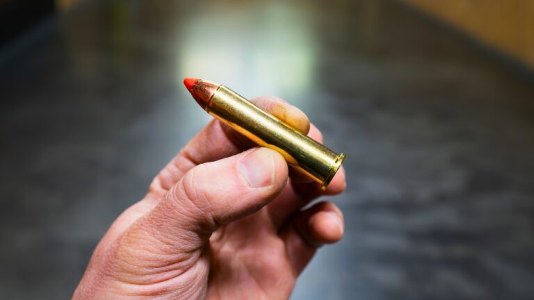 The best high-performance ammo for your next big hunt