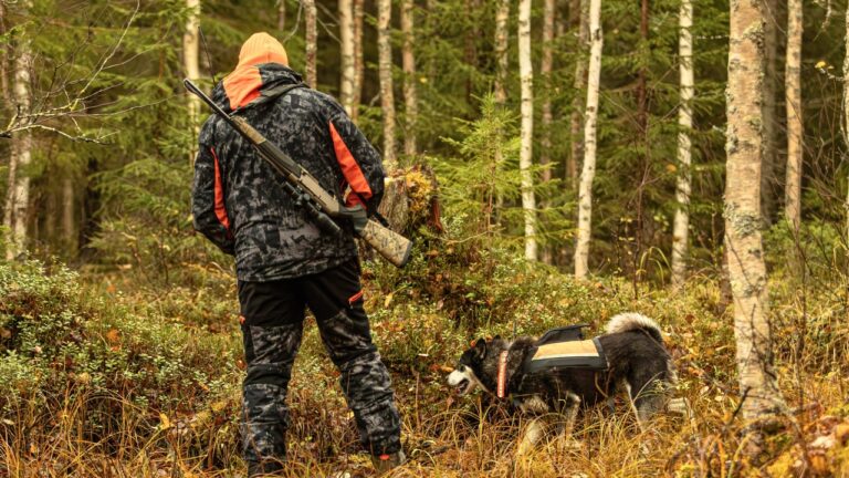 The hunting calibers that make tracking a nightmare