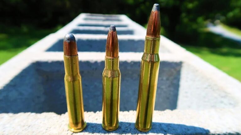 15 calibers that stay useful no matter what trends do