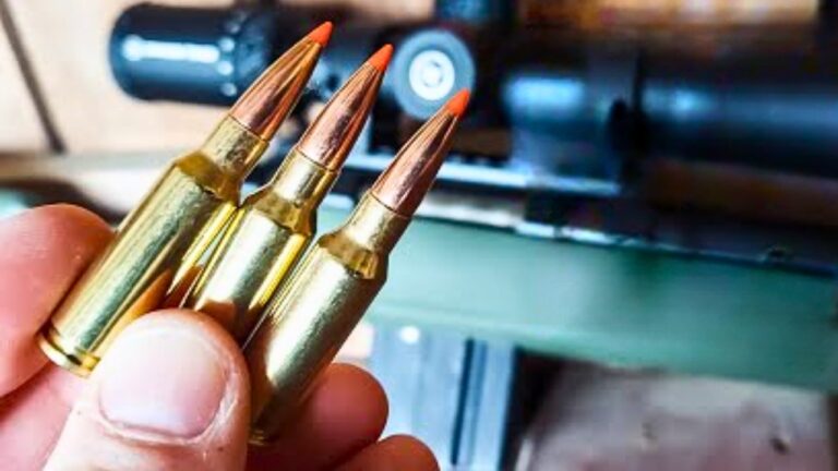 The calibers that hit hard—without the excessive recoil