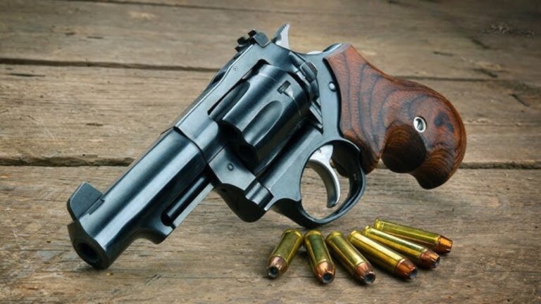 15 surprising facts about the Ruger SP101