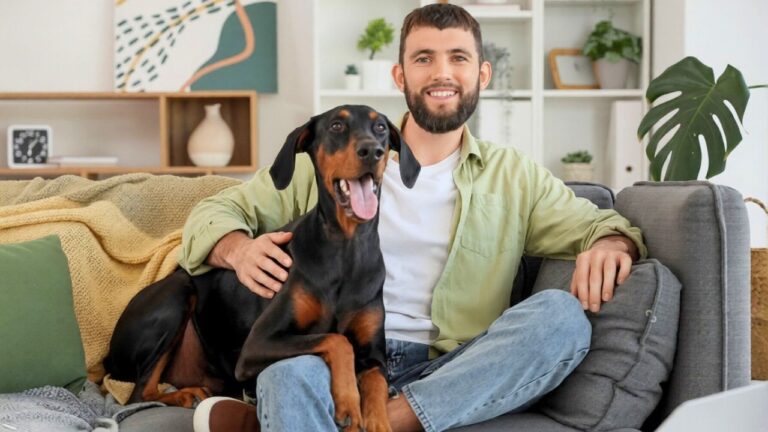 9 dogs that pick “their person” fast and stick to them