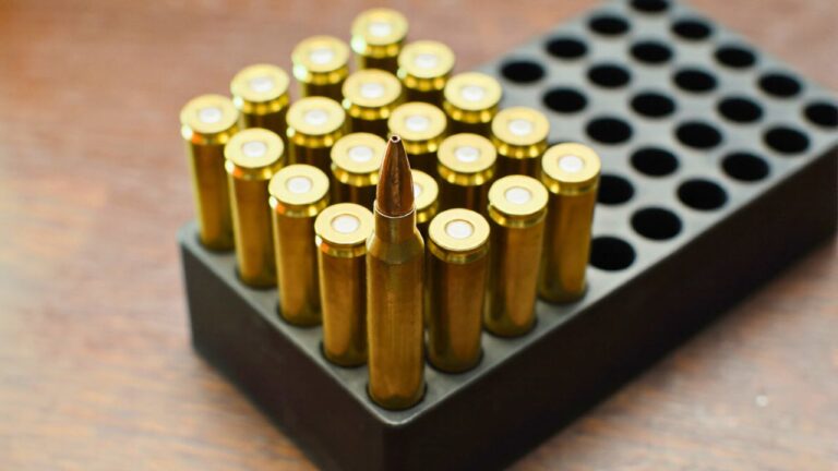 I thought the bargain ammo was saving me money until the malfunctions started