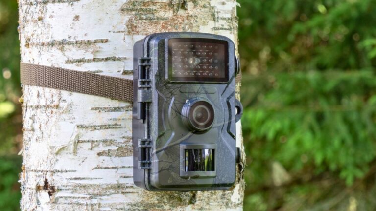 What to Do If You Discover a Trail Camera That Isn’t Yours
