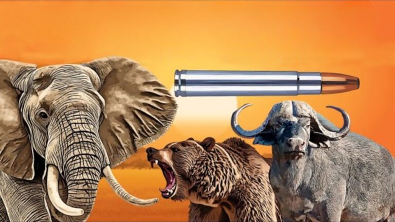 The hunting calibers that keep making modern favorites look soft