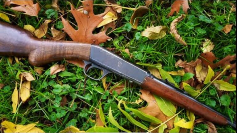 The firearms people dismissed as plain and later wished they had bought