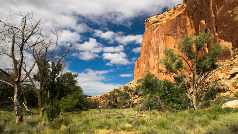 15 national park rules people get wrong