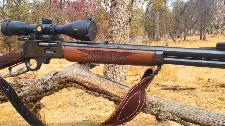 The rifles people passed on years ago and now wish they hadn’t