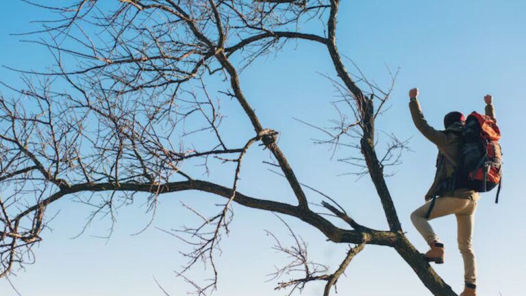 Things That Make Me Wonder How You’ve Stayed Alive This Long